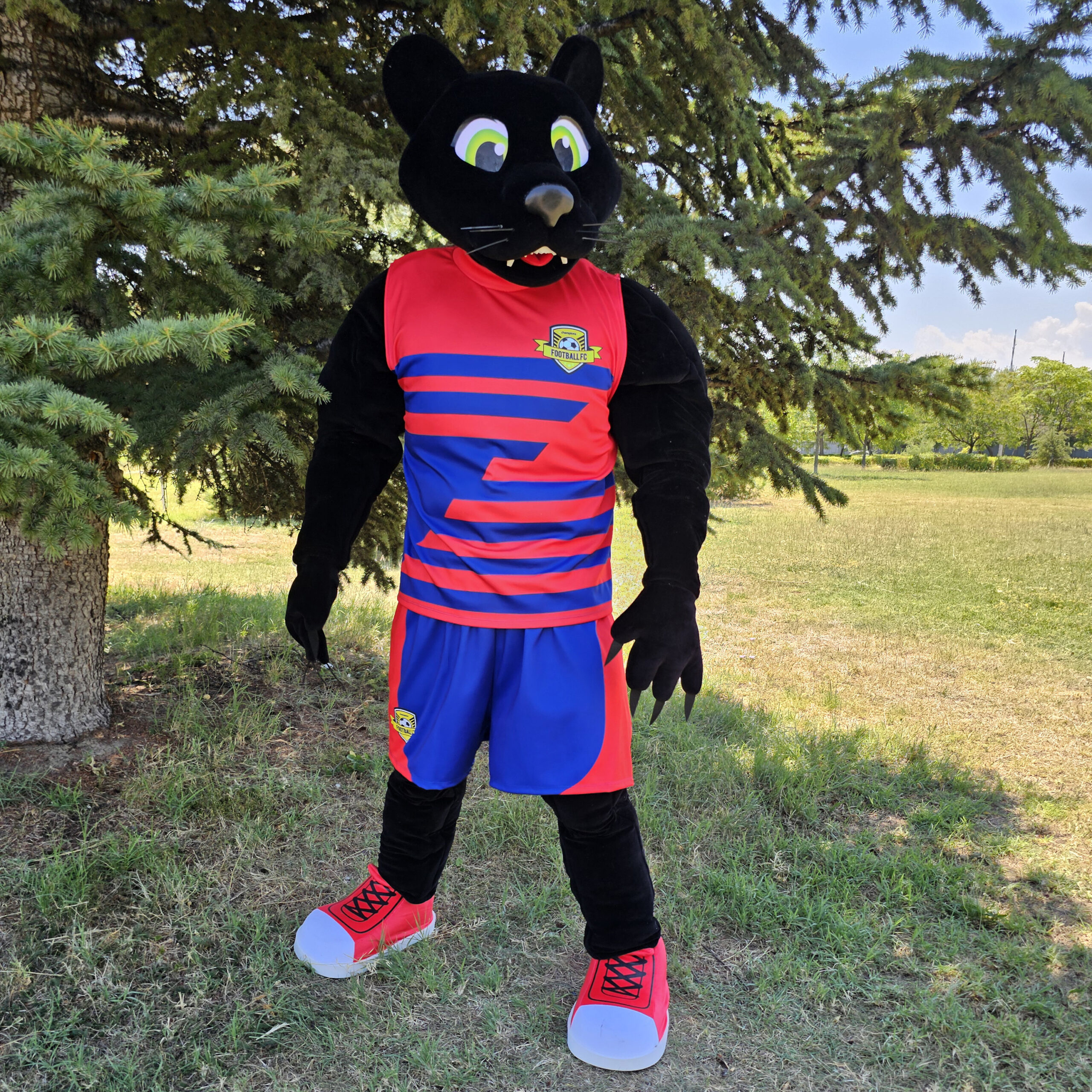 Mascot costumes
